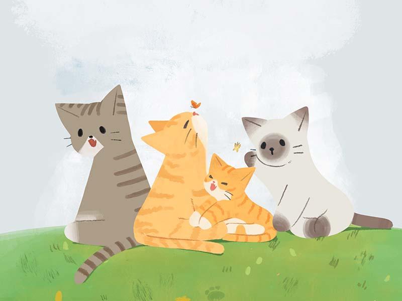 POUNDCAT in spring. May warm spring come to the Street cats.