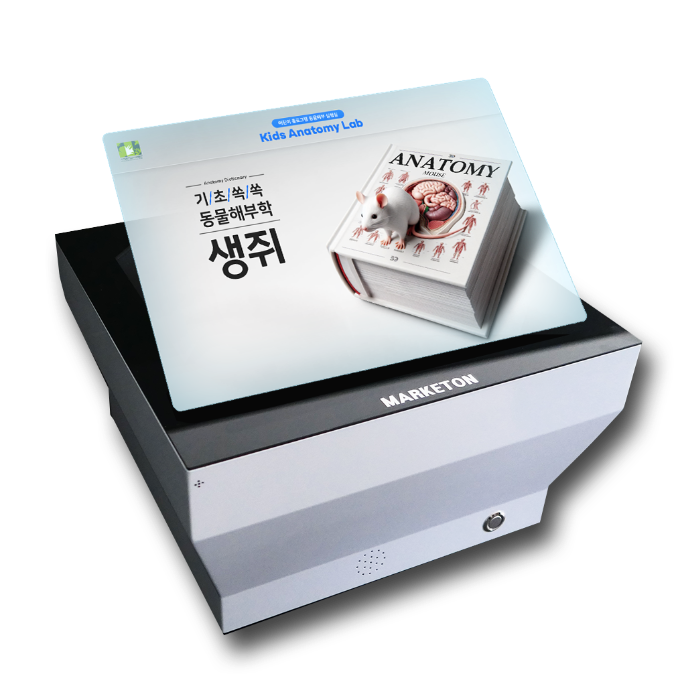 3D Content for Museum(2)