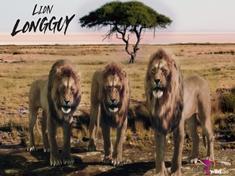 The three Longguy brothers