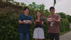 The main cast member of ' A Nation of Kimchi '