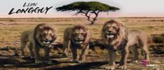 Longguy three brothers image