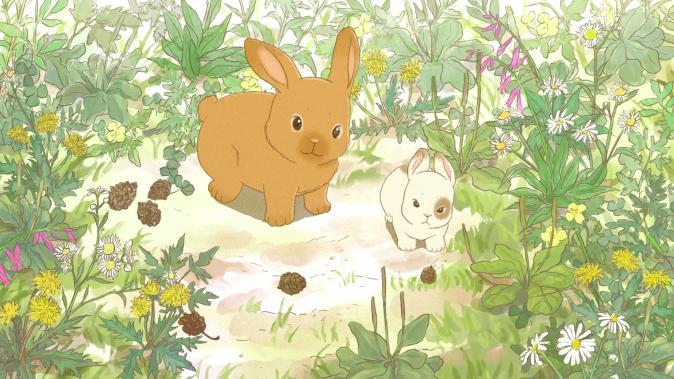 Mom rabbit teaches her child to survivie against beautiful but harsh nature