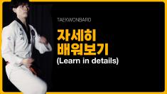 TAEKWONBARO Kup-grade Learn in details