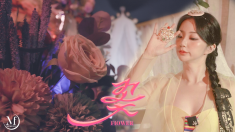 Korean wave package video 