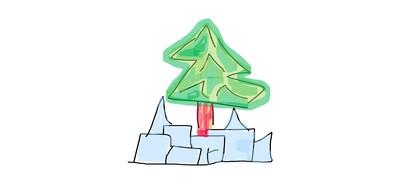 tree in the polar regions