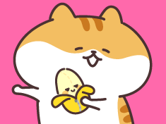 Animal Doll Shop