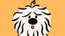 Sari(Sapsal Dog)