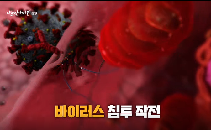 Attack of Coronavirus