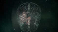 Neuro Sapiens