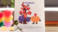 Flobud: 366 Birthday Flowers