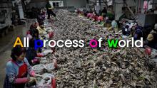 All process of world