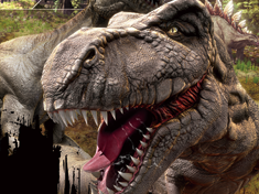 DINO AND ME