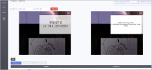 Specialized Translation for Novels and Webtoons