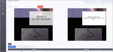Specialized Translation for Novels and Webtoons