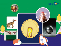 Cats' eye Science