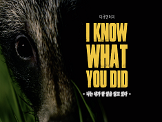 I KNOW WHAT YOU DID