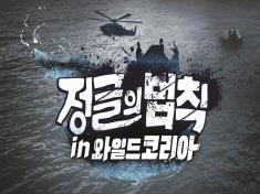 Law of the Jungle