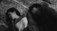 still cut 2