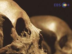 The Bones