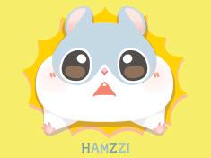 HAMZZI