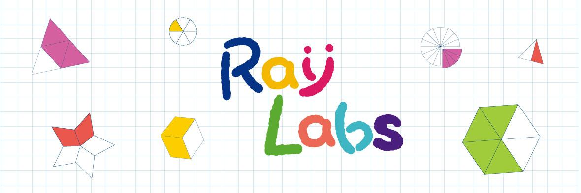 Ins. Raylabs Main Image