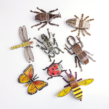 AR Bugs Puzzle